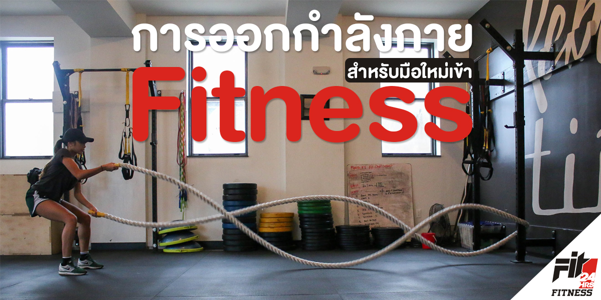 การ ออกกำลังกาย สำหรับ มือใหม่ เข้า ฟิตเนส ( Fitness )