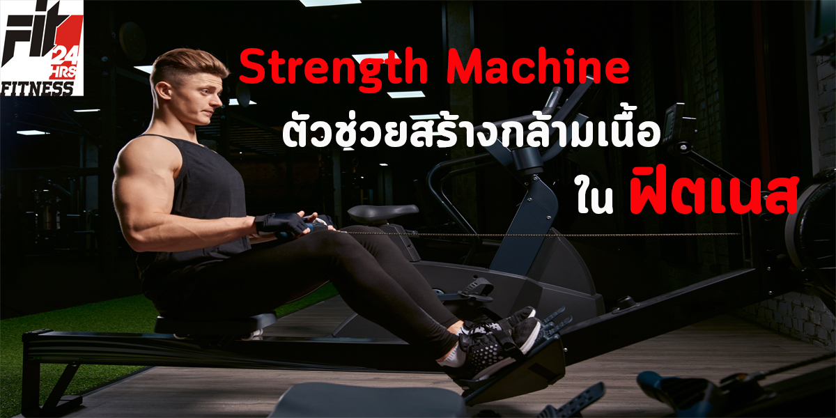 Strength Machine ตัวช่วย สร้างกล้ามเนื้อ ใน ฟิตเนส 