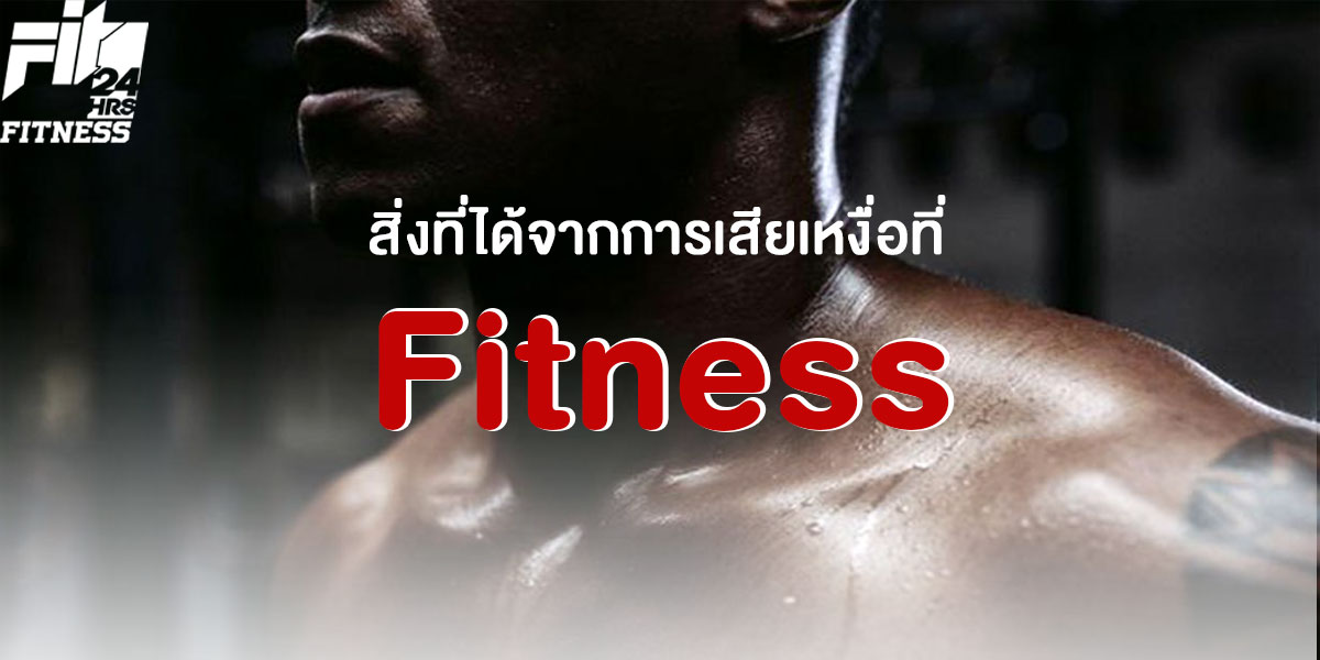 สิ่งที่ได้จากการเสียเหงื่อที่ ฟิตเนส ( Fitness )