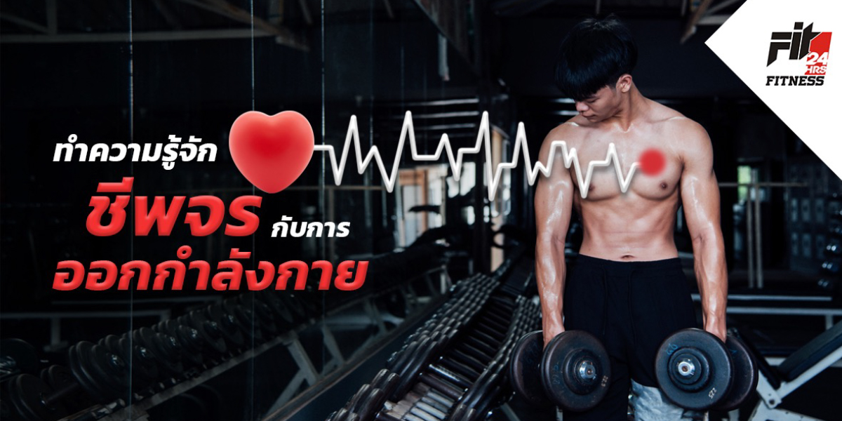 ทำความรู้จัก ชีพจร กับการ ออกกำลังกาย